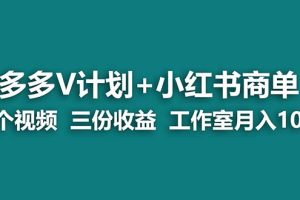 (7099期)【蓝海项目】多多v计划+小红书商单 一个视频三份收益 工作室月入10w打法