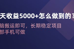 (6435期)一天收益5000+怎么做到的?无脑搬运即可,长期稳定项目,一部手机可做