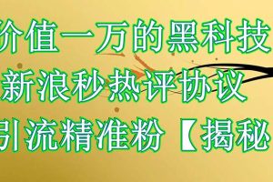 (6370期)价值一万的黑科技 新浪秒热评协议 引流精准粉【揭秘】