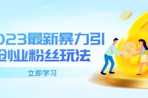 (5845期)2023最新暴力引流创业粉丝玩法,单日被动引流50+创业粉