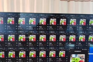 (3216期)外面卖3500的音乐人挂机群控防F脚本 支持腾讯/网易云/抖音 号称100%防F