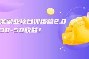 (2549期)微头条副业项目训练营2.0:单号30-50收益!