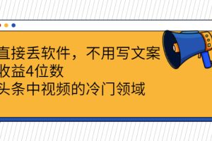 (2543期)直接丢软件,不用写文案,收益4位数头条中视频的冷门领域