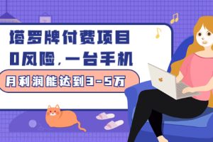 (2449期)塔罗牌付费项目,0风险,一台手机,月利润能达到3-5万(价值1000元)
