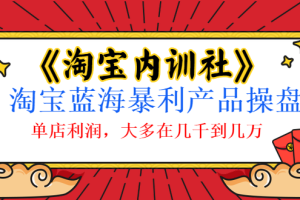 （1039期）《淘宝内训社》淘宝蓝海暴利产品操盘，单店利润，大多在几千到几万