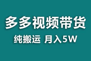 (7760期)【蓝海项目】多多视频带货,靠纯搬运一个月搞5w,新手小白也能操作【揭秘】