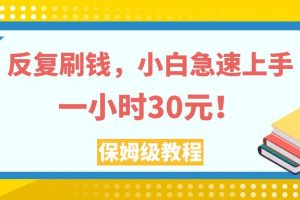 (7751期)反复刷钱,小白急速上手,一个小时30元,实操教程。