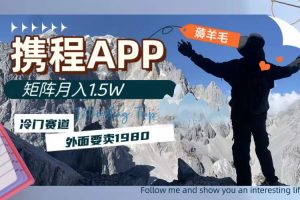 (7744期)携程APP薅羊毛,外面卖1980的冷门赛道,矩阵月入1.5w