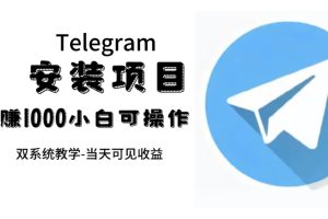 （7455期）帮别人安装“纸飞机“，一单赚10—30元不等：附：免费节点