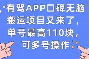 (7314期)有驾APP口碑无脑搬运项目又来了,单号最高110块,可多号操作