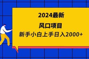 （9483期）2024最新风口项目 新手小白日入2000+