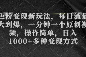 （9282期）色粉变现新玩法，每日流量大到爆，一分钟一个原创视频，操作简单，日入1…