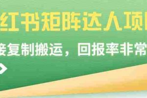 （9019期）小红书矩阵达人项目，直接复制搬运，回报率非常高
