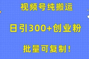 （10186期）批量可复制！视频号纯搬运日引300+创业粉教程！