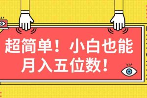 （10257期）超简单图文项目！小白也能月入五位数