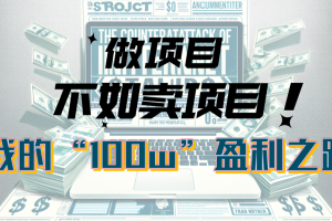 (10930期)为什么做项目不如卖项目?我的100W+盈利之路