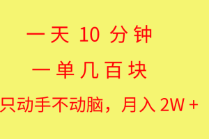 (10974期)一天10 分钟 一单几百块 简单无脑操作 月入2W+教学