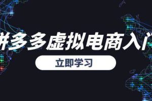（15158期）拼多多虚拟电商入门，精准选品方法论，无货源模式起盘技巧