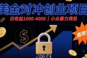 （15642期）美金对冲创业项目，日收益1000-4000，小众暴力项目