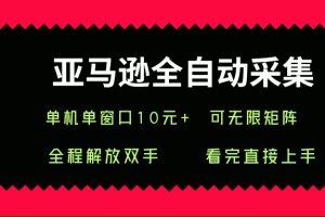 (15704期)亚马逊全自动采集,单机单窗口一天10+,可无限矩阵去做