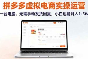 （16138期）拼多多虚拟电商实操运营，一台电脑，无需手动发货回复，小白也能月入1-5W