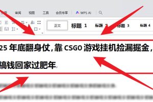 (16533期)25年底翻身仗,靠CSGO游戏挂机捡漏掘金,搞钱回家过肥年