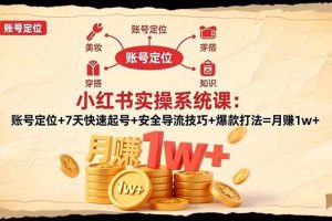 (16554期)小红书实操系统课:账号定位+7天快速起号+安全导流技巧+爆款打法=月赚1w+