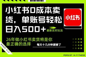 （17462期）小红书0成本AI卖货，单账号轻松日入500+，完全托管AI，可矩阵放大