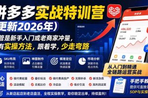(20158期)拼多多实战特训营(更新26年0831):不管是新手入门或老商家冲量,都有实操方法,跟着学,少走弯路